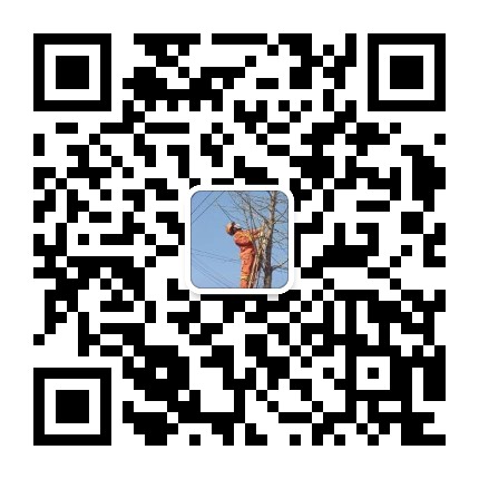 爱武隆二手网.同城网