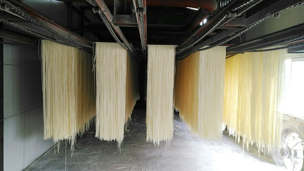 小编探店杨万强面条加工厂安全营养健康卫生