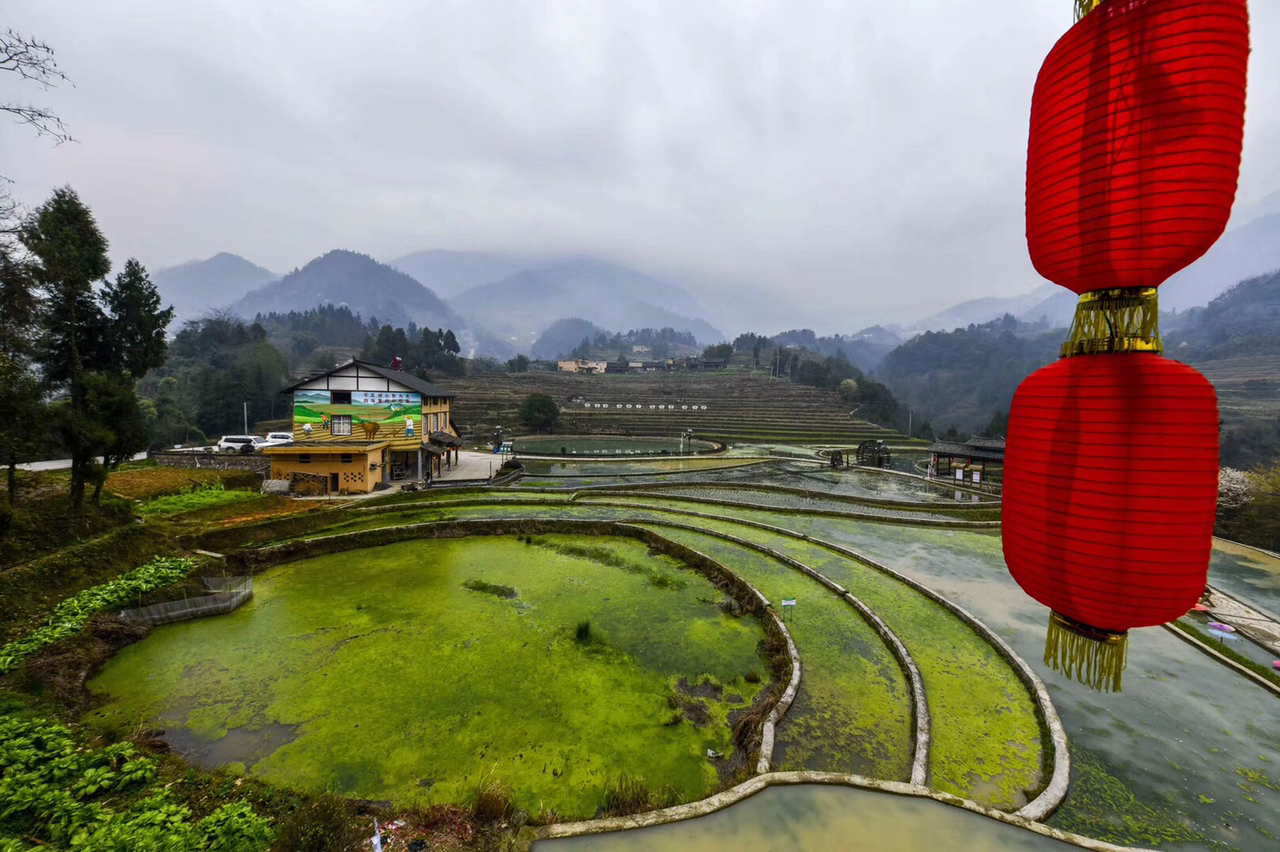 pk一下醉美复兴村 - 聚焦武隆 - powered by discuz!