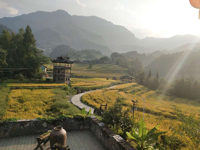 【打卡·网红桥】不负大好春光,武隆网红村—复兴村正式对外开放,赶紧